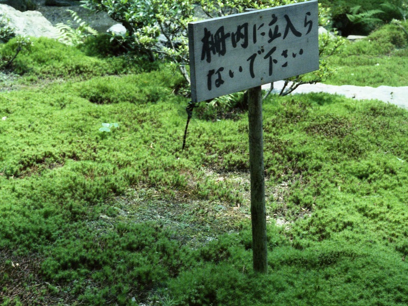 京都市内 立札のトンボ